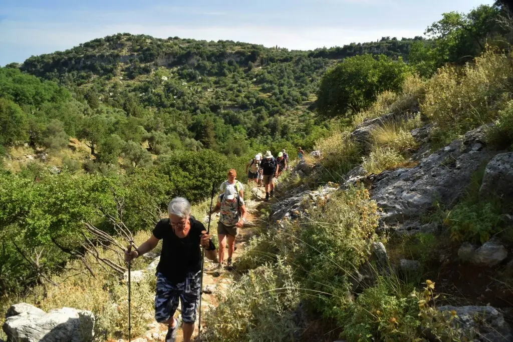 An image of a group hiking in nature