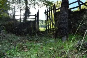 tannery access