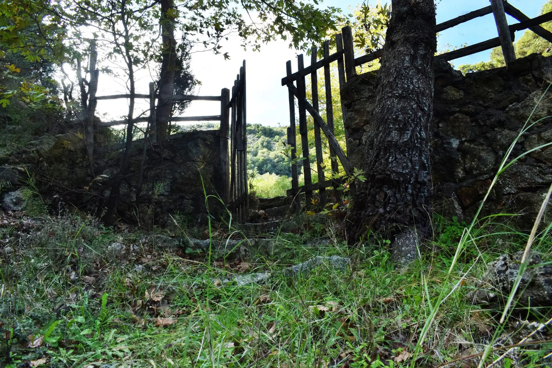 Where Hides Became History: The Lost World of Traditional Leather Tanning