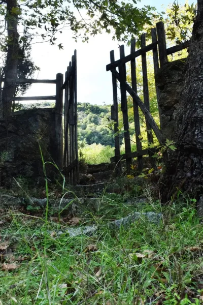 Where Hides Became History: The Lost World of Traditional Leather Tanning